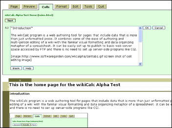 screen shot of text cell editing
